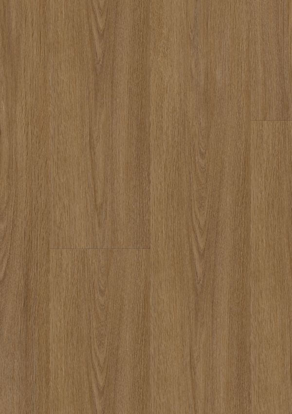 RS40501_Blomma Brown Dry Back  Rigid - Frontal View.jpg