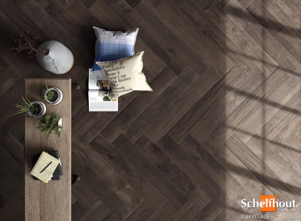 220256_inspirations-carrelage-sejour-salon-imitation-parquet-brun-fonce-schelfhout.jpg